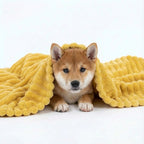 Couverture de soutien émotionnel