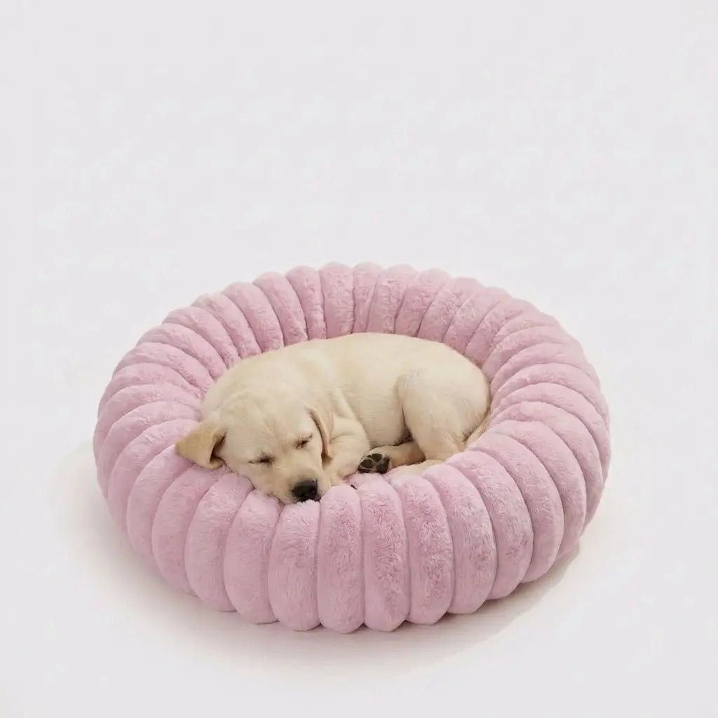 Lit Nuage Violet - PatteAuxChaud